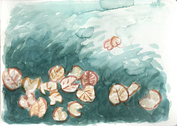 Baggage claim area in Porto