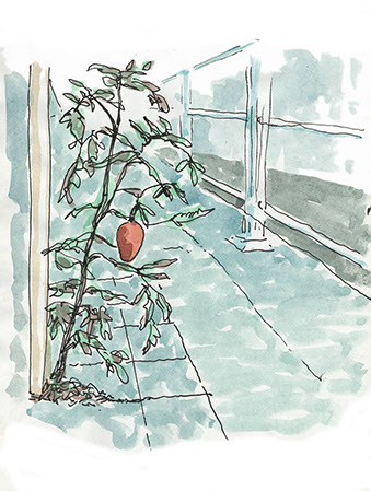 Baggage claim area in Porto